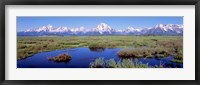 Grand Teton Park, Wyoming (color) Fine Art Print