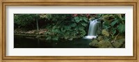 Waterfall in Maui, Hawai Fine Art Print