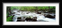 Great Smoky Mountains, Tennessee Fine Art Print