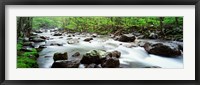 Great Smoky Mountains, Tennessee Fine Art Print