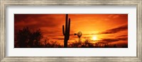 Sonoran Desert Sunset, Arizona Fine Art Print