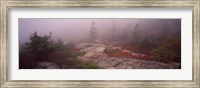 Cadillac Mountain, Acadia National Park, Maine Fine Art Print