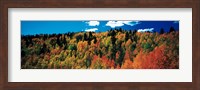 Fall Durango, Colorado Fine Art Print