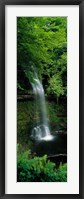 Yeats Waterfall, Ireland Fine Art Print