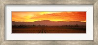 Sunset over Napa Valley Fine Art Print
