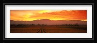Sunset over Napa Valley Fine Art Print