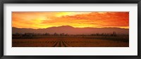 Sunset over Napa Valley Fine Art Print