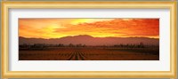 Sunset over Napa Valley Fine Art Print