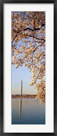 Washington DC Fine Art Print