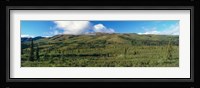 Denali National Park, Alaska Fine Art Print