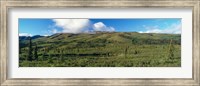 Denali National Park, Alaska Fine Art Print