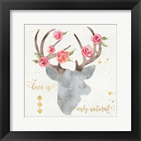 Wild Bohemian II Framed Print