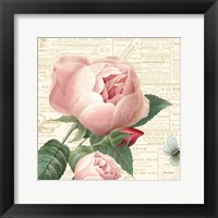 Roses in Paris V Fine Art Print