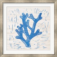 Sea Creature Coral Blue Fine Art Print