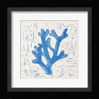 Sea Creature Coral Blue Framed Print