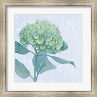 Blue Hydrangea I Crop Fine Art Print