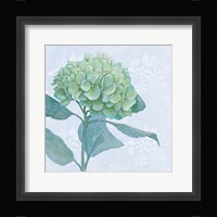 Blue Hydrangea I Crop Framed Print