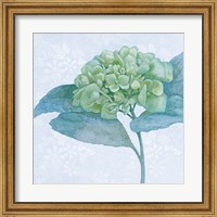 Blue Hydrangea II Crop Fine Art Print