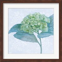 Blue Hydrangea II Crop Fine Art Print