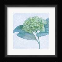 Blue Hydrangea II Crop Framed Print