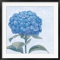 Blue Hydrangea III Crop Fine Art Print