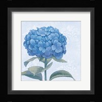 Blue Hydrangea III Crop Fine Art Print