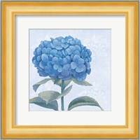Blue Hydrangea III Crop Fine Art Print