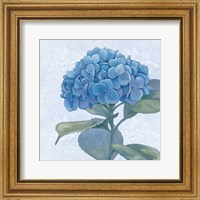 Blue Hydrangea IV Crop Fine Art Print