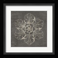 Rosette V Gray Fine Art Print