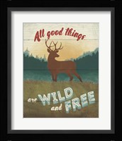 Discover the Wild II Framed Print