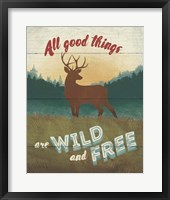 Discover the Wild II Framed Print