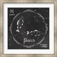 Night Sky Pisces Fine Art Print