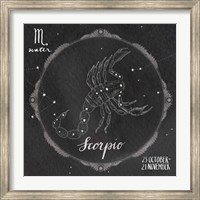 Night Sky Scorpio Fine Art Print