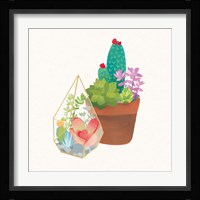 Succulent Garden I Framed Print