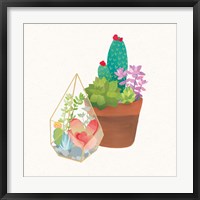 Succulent Garden I Framed Print