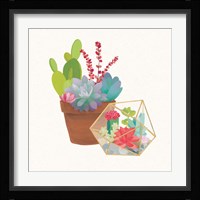 Succulent Garden II Framed Print