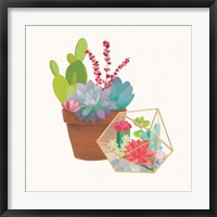 Succulent Garden II Framed Print