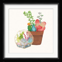 Succulent Garden III Framed Print