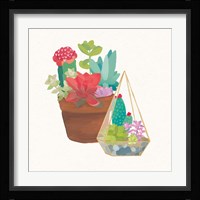 Succulent Garden IV Framed Print