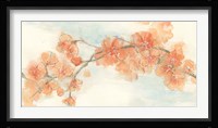 Peach Blossom II Framed Print