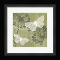 Dandelion & Wings II Framed Print
