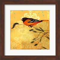 Oriole & Cartouche I Fine Art Print