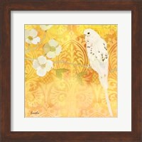 Budgie & Cartouche I Fine Art Print