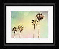 Palm Trees II Framed Print