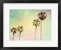 Palm Trees II Framed Print