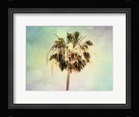 Palm Trees III Framed Print