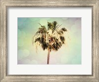 Palm Trees III Fine Art Print