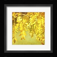 Autumn Photography I Framed Print