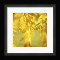 Autumn Photography II Framed Print