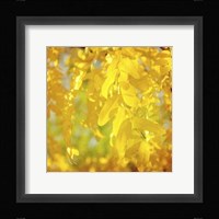 Autumn Photography IV Framed Print